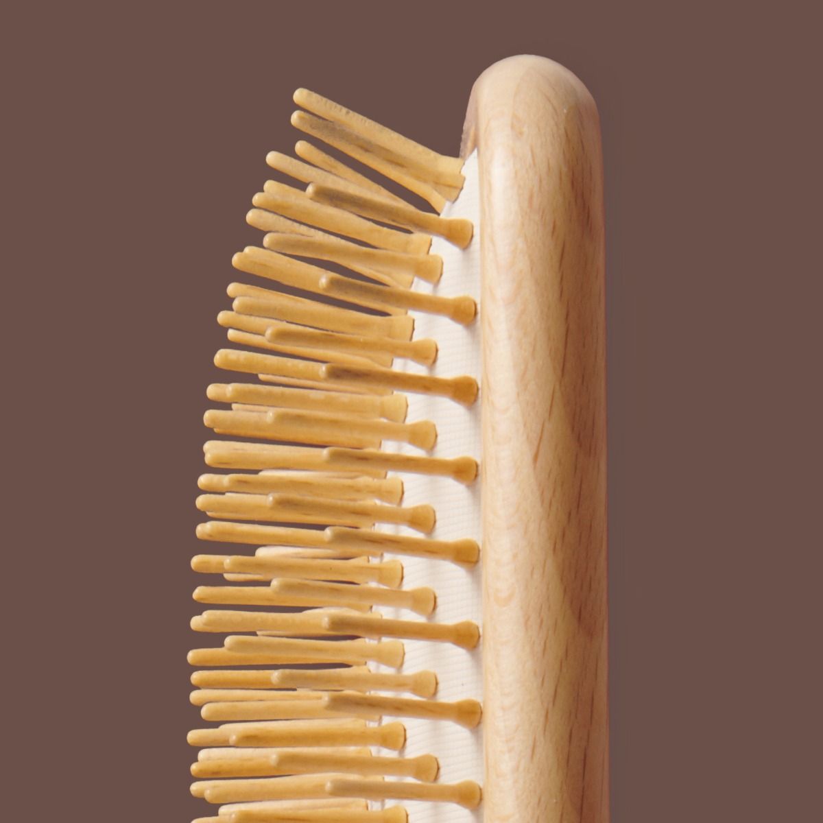 LOC The Paddle Brush
